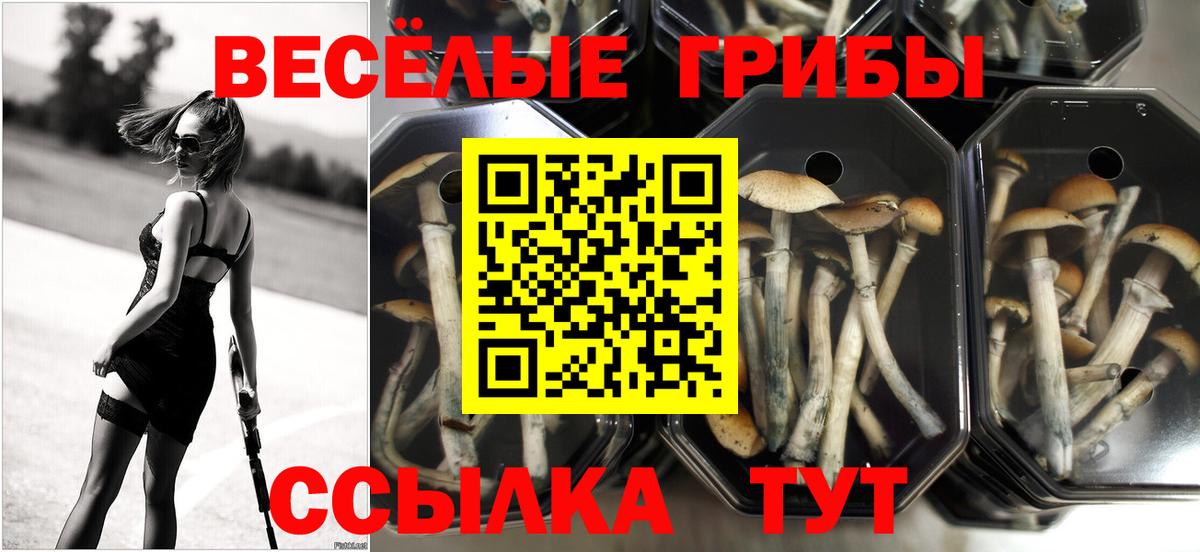 Лабинск  Псилоцибиновые грибы Magic Shrooms  Вход с VPN  Псилоцибиновые грибы мицелий 